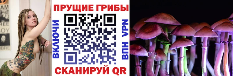 Псилоцибиновые грибы Magic Shrooms Одинцово